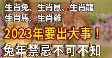 2023屬兔寶寶|【2023兔年寶寶】2023兔年寶寶不可不知的特點：禁忌、取名潛。